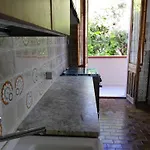 Oleandro Bianco Gutturu * Arbus