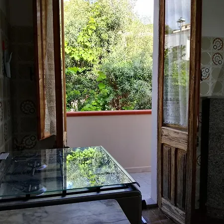 Oleandro Bianco Gutturu Arbus